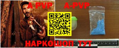 прущие крисы Кингисепп