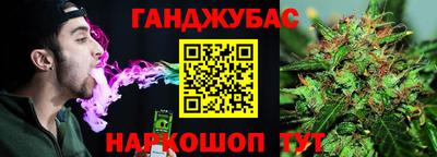 прущие крисы Кингисепп