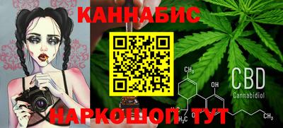 прущие крисы Кингисепп
