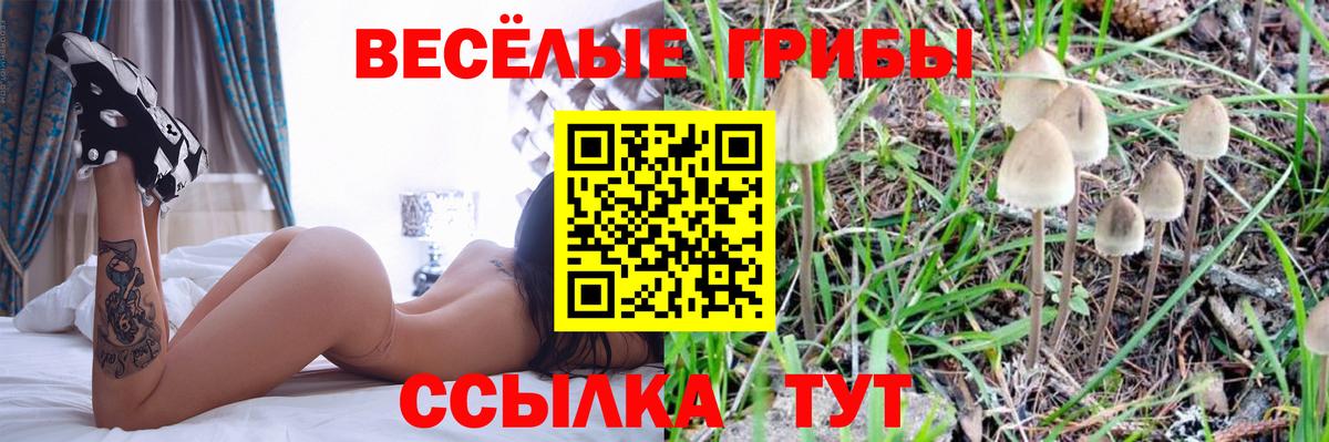 Краснознаменск  Галлюциногенные грибы ЛСД  Вход с VPN 